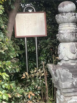 廻田陣屋の登城記録(監督さん)