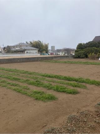 中里館の登城記録(監督さん)