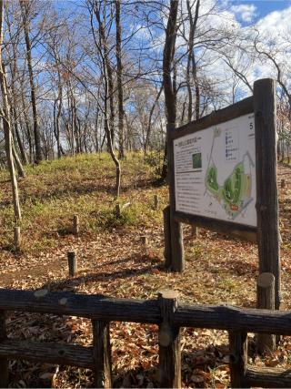 人見屋敷の登城記録(監督さん)