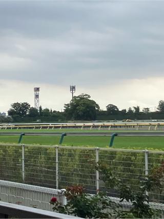 井田摂津守是政屋敷の登城記録(監督さん)