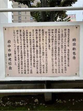 源経基館の登城記録(監督さん)