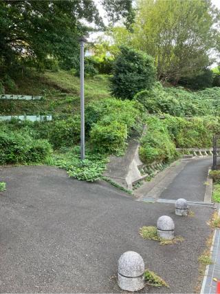 南平館（越後屋敷・大寺平遺跡）の登城記録(監督さん)