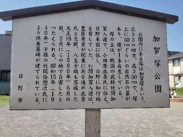 竹間加賀入道屋敷(薬王寺館)の写真1