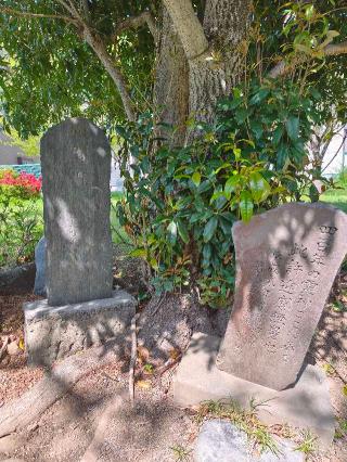 竹間加賀入道屋敷（薬王寺館）の登城記録(マリリさん)