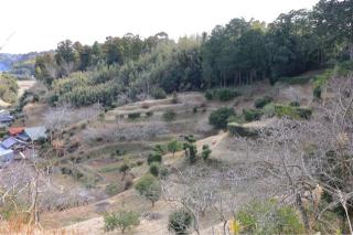 稲村城の登城記録(こにーさん)