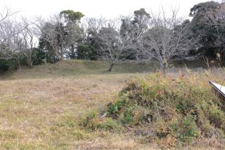 稲村城の登城記録(こにーさん)