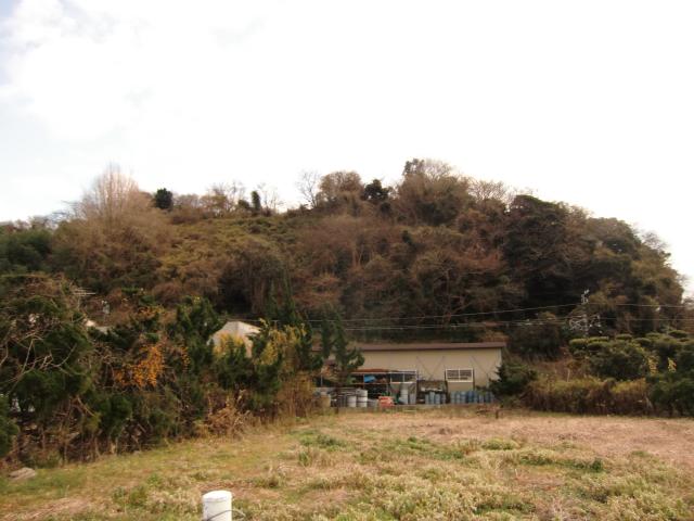 千葉県館山市稲１１５ 稲村城の写真2