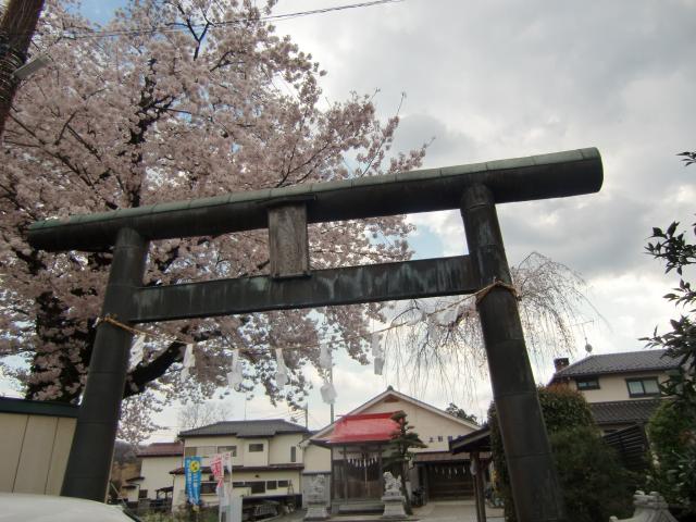 東京都あきる野市引田 引田城（志村肥前守館）の写真1