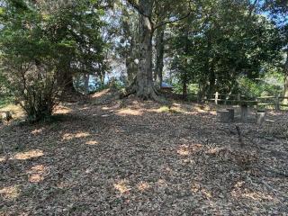 星隈城の登城記録(キャッスルさん)