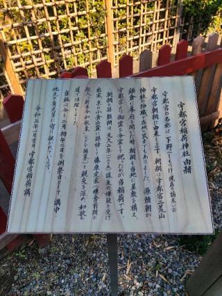 宇都宮辻子御所（宇都宮辻子幕府）の登城記録(マリリさん)