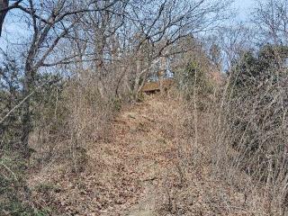 物見櫓（矢倉台）の登城記録(影武者さん)