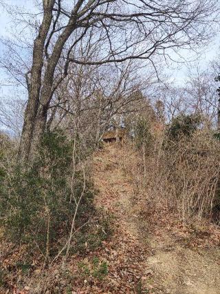 物見櫓（矢倉台）の登城記録(マリリさん)