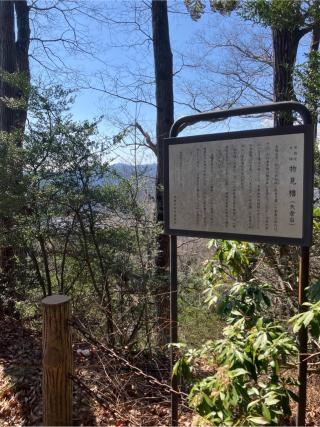 物見櫓（矢倉台）の登城記録(監督さん)