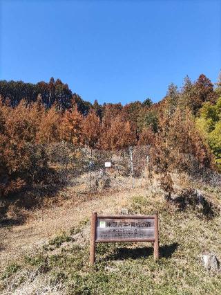 日向和田要害山城の登城記録(マリリさん)