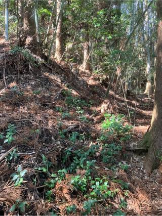 日向和田要害山城の登城記録(監督さん)