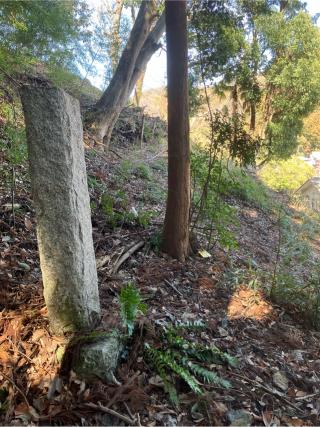 日向和田要害山城の登城記録(監督さん)