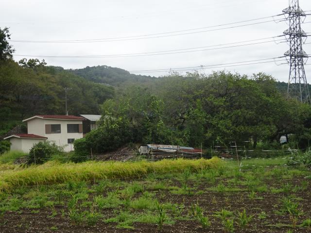 木崎屋敷の写真1