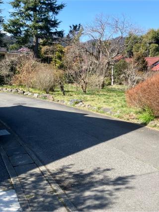 道心屋敷の登城記録(監督さん)