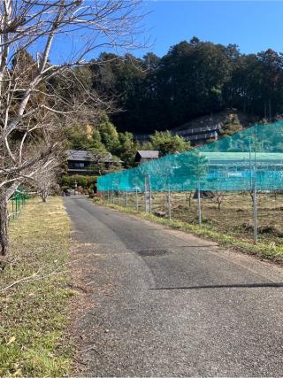 古屋敷の登城記録(監督さん)