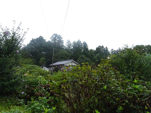 和田左京亮屋敷の写真1