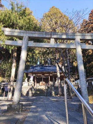 宮ノ平塁の登城記録(マリリさん)