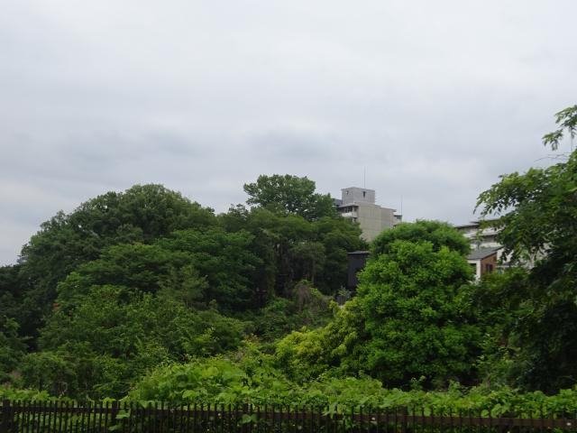 大名屋敷の写真1