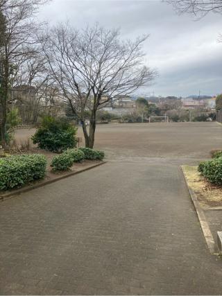 大名屋敷の登城記録(監督さん)