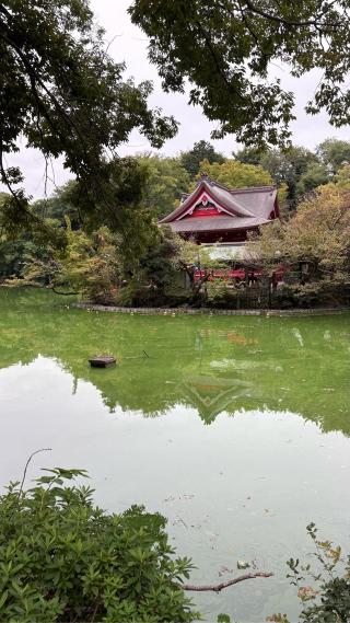 井の頭御殿山の登城記録(みねさん)