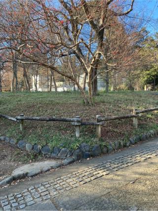 井の頭御殿山の登城記録(監督さん)