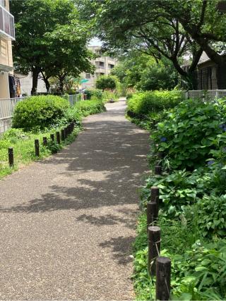 練馬御殿の登城記録(監督さん)