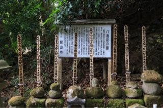 館山城の登城記録(こにーさん)