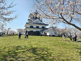 館山城の登城記録(タツヤさん)