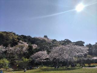 館山城の登城記録(タツヤさん)