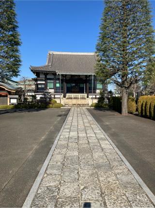 朝鮮丸砦（大音寺砦）の登城記録(監督さん)