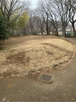 池淵遺跡の登城記録(監督さん)