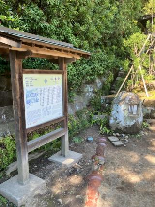 杉本城の登城記録(監督さん)