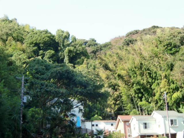 一升桝遺跡（一升桝の塁、一升桝塁）の写真1