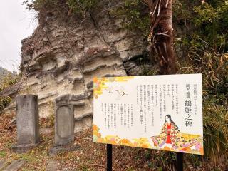 岡本城の登城記録(こにーさん)