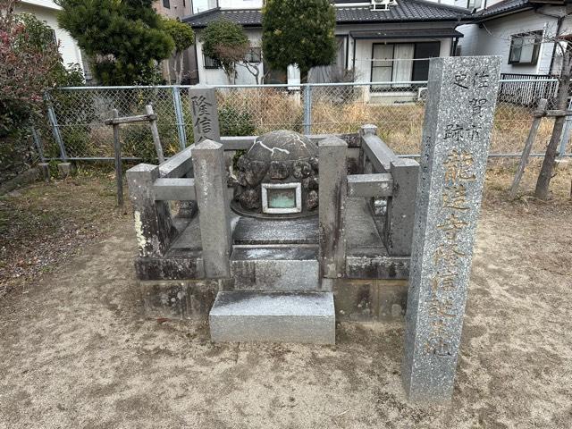 佐賀県佐賀市中の館町７−１５ 水ヶ江城の写真2