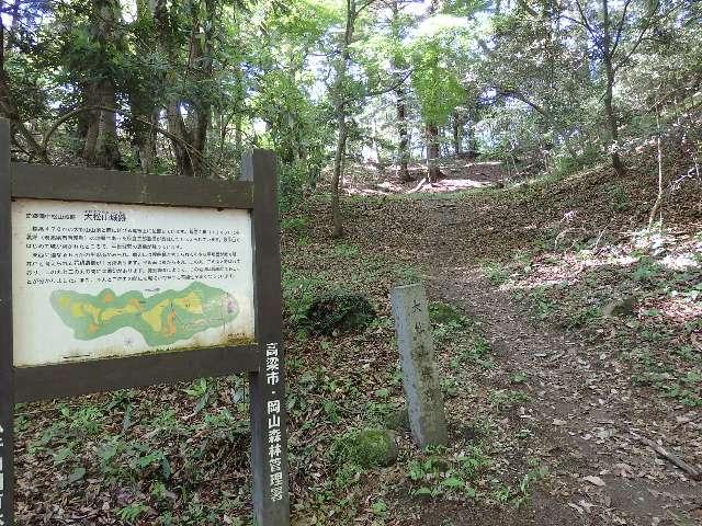 岡山県〒716-0004 大松山城の写真1