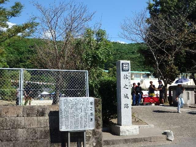 鹿児島県垂水市田神２３１１−７ 林之城の写真1