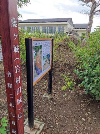 藤ヶ城の登城記録(マリリさん)