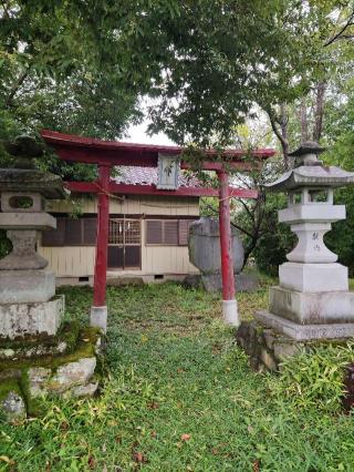 池端城の登城記録(マリリさん)