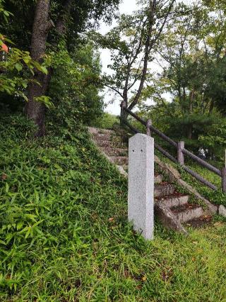 池端城の登城記録(マリリさん)