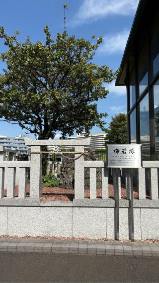 隅田川御殿の登城記録(みねさん)