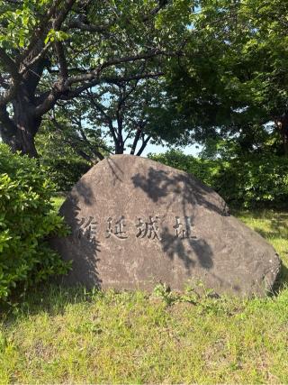作延城（作延城山）の登城記録(こにーさん)
