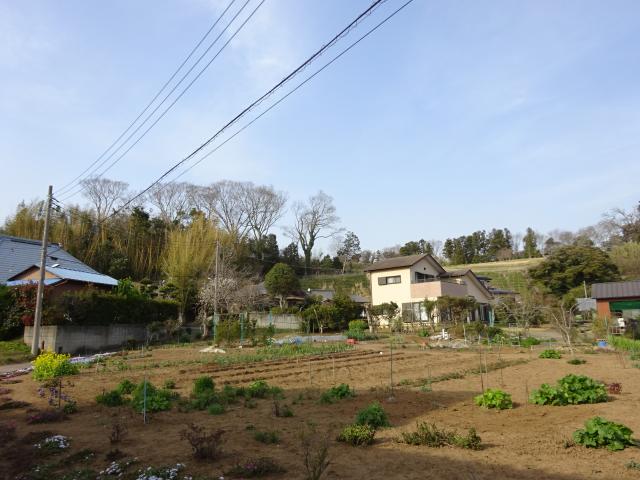 千葉県成田市押畑 子ノ神城（押畑城）の写真1