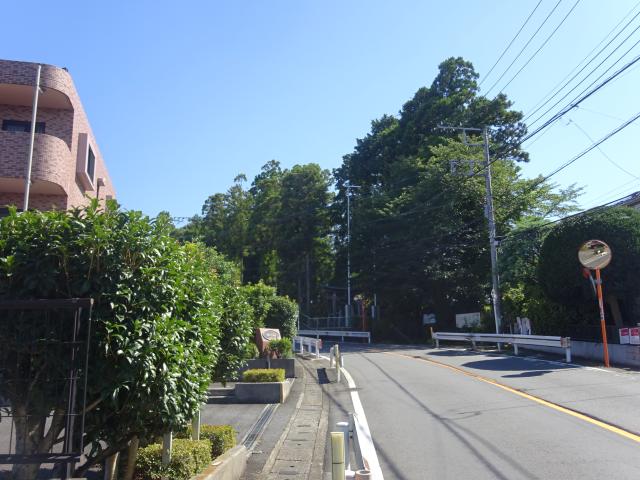 岡上城の写真1