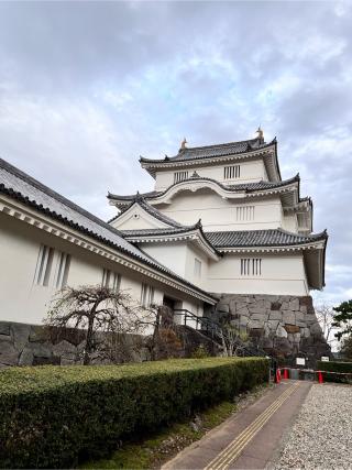 大多喜城の登城記録(にょこちさん)