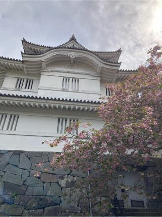 大多喜城の登城記録(マサルさん)